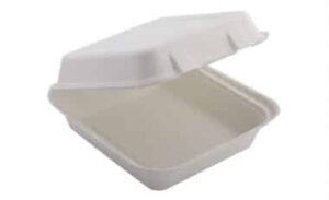 Food To Go Food Box Sugarcane Compostable