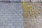 Go Moss Remover Selco No1 Amos Green Algae & Moss Remover