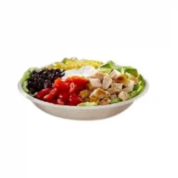 Salad Bowl Pulp Compostable 750ml (24oz Catex