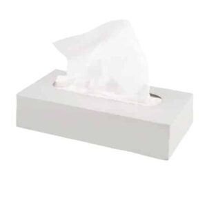Hotel Tissues 2ply selco.ie
