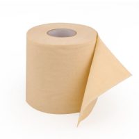 Bamboo Slippy Toilet Paper, Not Suitable for older Pipe Work