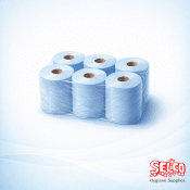 Blue paper roll 2-ply 6-pack price Ireland recycled tissue embossed