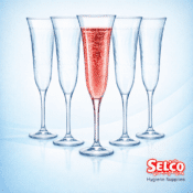 Champagne & Wine Glasses - Pla Clear - 400 pack - 100 pack